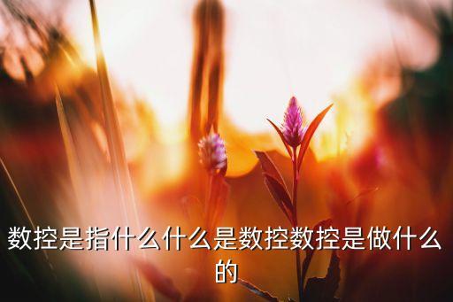 數(shù)控，數(shù)控是指什么什么是數(shù)控?cái)?shù)控是做什么的