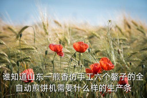 六個鏊子全自動煎餅機，誰知道山東一煎香仿手工六個鏊子的全自動煎餅機需要什么樣的生產條