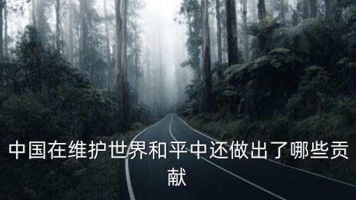 中國在維護(hù)世界和平中還做出了哪些貢獻(xiàn)