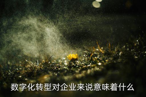 數(shù)字化轉(zhuǎn)型對(duì)企業(yè)來(lái)說(shuō)意味著什么