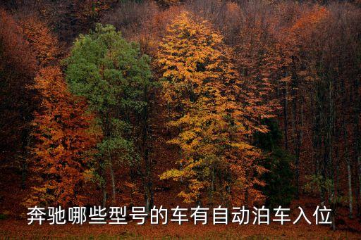 奔馳哪些型號的車有自動(dòng)泊車入位