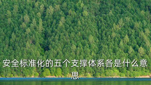 支撐體系是什么，現(xiàn)代水利四大支撐體系是什么