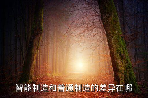 智能制造和普通制造的差異在哪