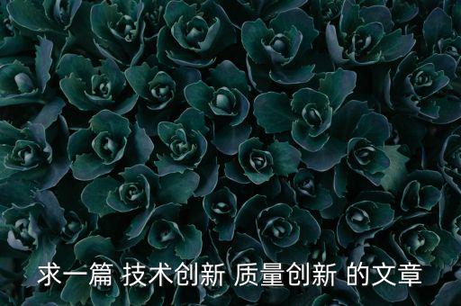 求一篇 技術(shù)創(chuàng)新 質(zhì)量創(chuàng)新 的文章