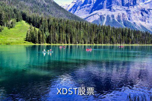 XDST股票