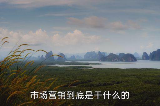 市場營銷到底是干什么的