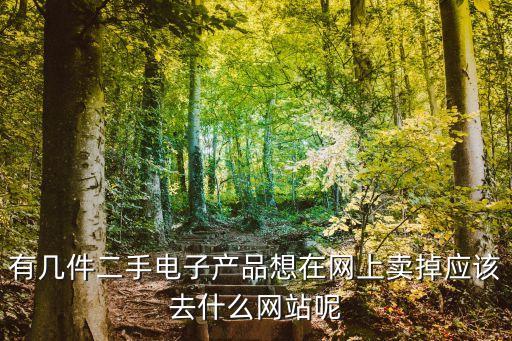 有幾件二手電子產(chǎn)品想在網(wǎng)上賣掉應該去什么網(wǎng)站呢