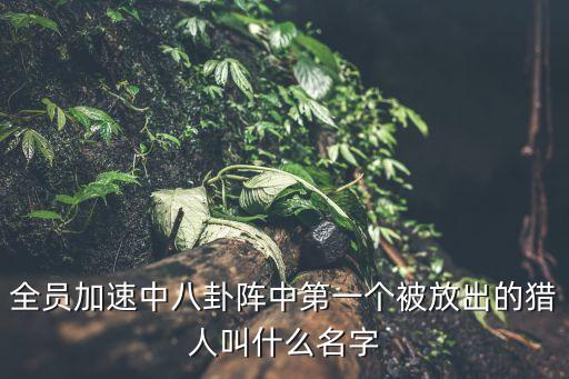 全員加速中八卦陣中第一個被放出的獵人叫什么名字