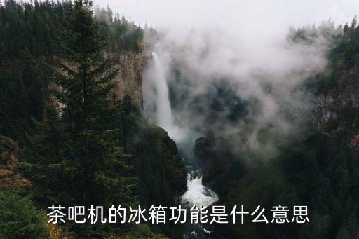 茶吧機(jī)的冰箱功能是什么意思
