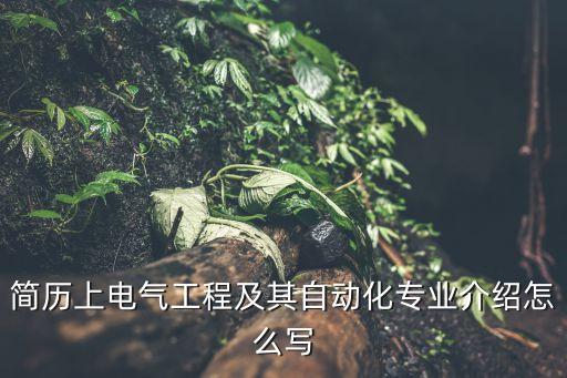 簡歷上電氣工程及其自動化專業(yè)介紹怎么寫