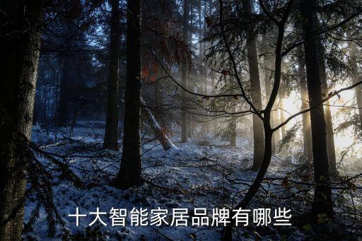十大智能家居品牌有哪些