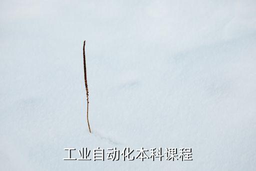 工業(yè)自動化本科課程