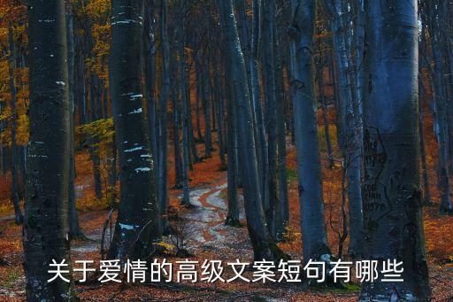關(guān)于智能的文案，智能家居產(chǎn)品廣告語(yǔ)征集
