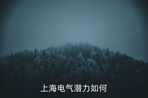 上海電氣潛力如何