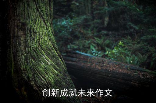 創(chuàng)新成就未來作文