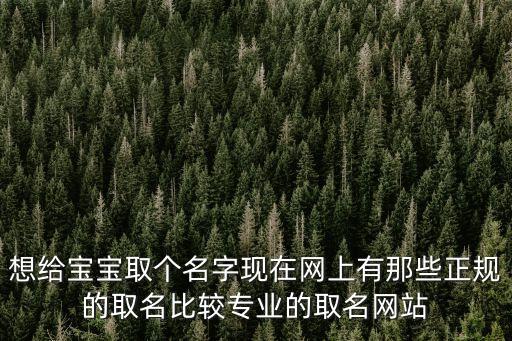 想給寶寶取個名字現(xiàn)在網(wǎng)上有那些正規(guī)的取名比較專業(yè)的取名網(wǎng)站