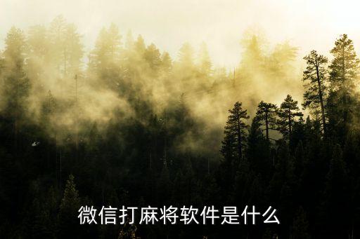 手機(jī)麻將工具黑科技，聽說手機(jī)可以裝一款打麻將軟件包贏錢麻將卓子
