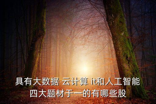 具有大數(shù)據(jù) 云計算 it和人工智能四大題材于一的有哪些股