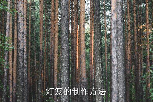 7一12歲手工燈籠制作視頻，怎樣手工制作燈籠