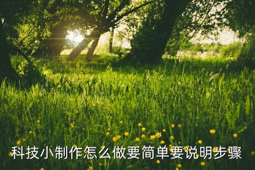 科技小制作怎么做要簡(jiǎn)單要說(shuō)明步驟