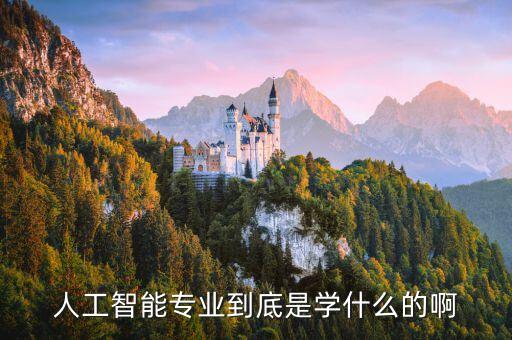 人工智能專業(yè)到底是學(xué)什么的啊
