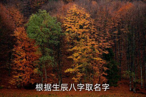 根據(jù)生辰八字取名字