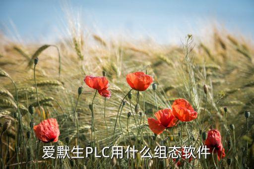 艾默生plc軟件，最新的艾默生plc軟件是什么版本
