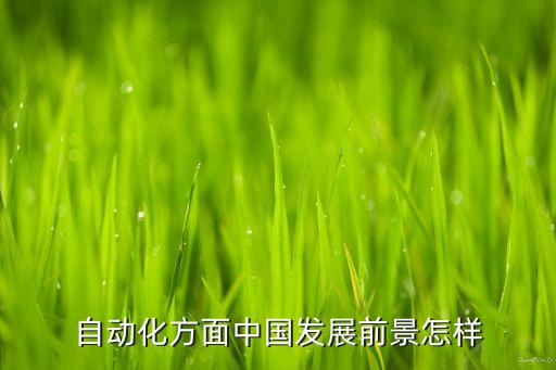 自動化發(fā)展前景與趨勢論文，機械自動化未來的發(fā)展趨勢