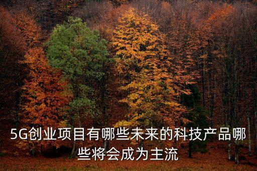5G創(chuàng)業(yè)項目有哪些未來的科技產(chǎn)品哪些將會成為主流