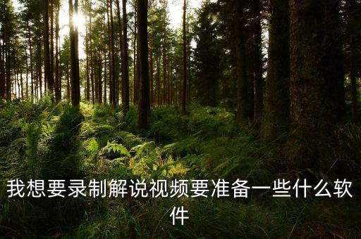 我想要錄制解說視頻要準(zhǔn)備一些什么軟件