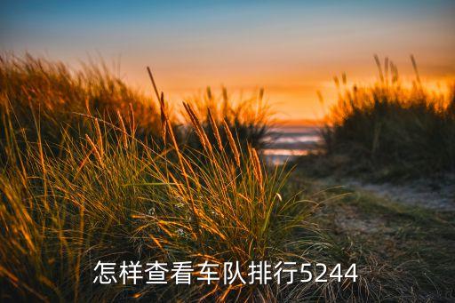 怎樣查看車隊(duì)排行5244