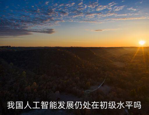中國(guó)ai人工智能發(fā)達(dá)，人工智能未來(lái)在中國(guó)的發(fā)展是什么樣的呢