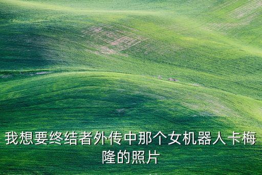 我想要終結(jié)者外傳中那個(gè)女機(jī)器人卡梅隆的照片