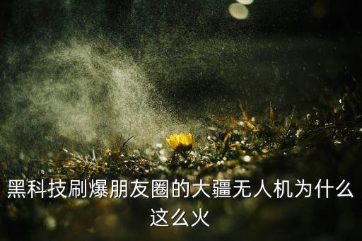 黑科技刷爆朋友圈的大疆無人機為什么這么火
