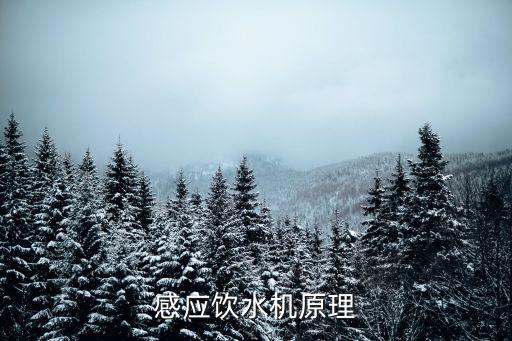 智能感應(yīng)飲水機(jī)趣味實(shí)驗(yàn)圖片，聽說(shuō)智飲機(jī)有個(gè)很神秘的安全功能是啥