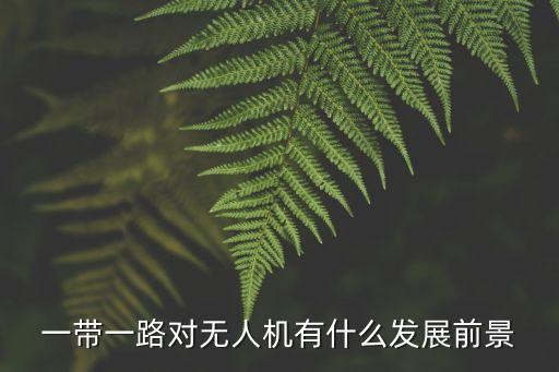 一帶一路對無人機有什么發(fā)展前景