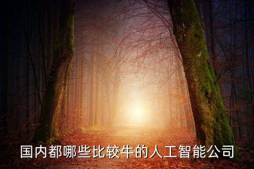 國(guó)內(nèi)都哪些比較牛的人工智能公司