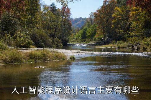 編寫人工智能的語言，人工智能開發(fā)語言