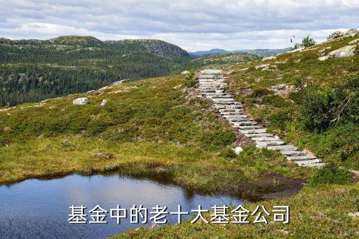 基金中的老十大基金公司