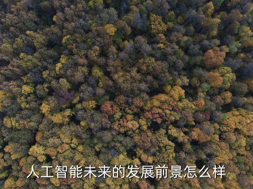 人工智能未來的發(fā)展前景怎么樣