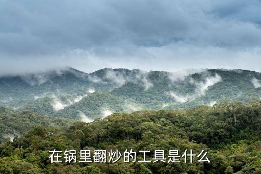 大鐵鍋?zhàn)詣臃?，在鍋里翻炒的工具是什? /></a><a href=