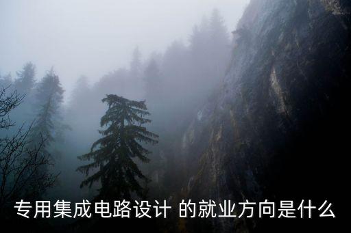 專用集成電路設(shè)計(jì) 的就業(yè)方向是什么