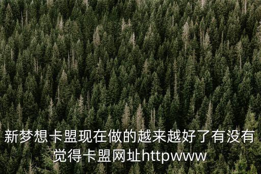 新夢(mèng)想卡盟現(xiàn)在做的越來(lái)越好了有沒(méi)有覺(jué)得卡盟網(wǎng)址httpwww