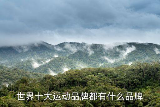 世界十大運(yùn)動(dòng)品牌都有什么品牌