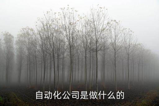 自動化公司是做什么的
