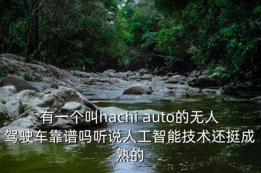 有一個叫hachi auto的無人駕駛車靠譜嗎聽說人工智能技術(shù)還挺成熟的