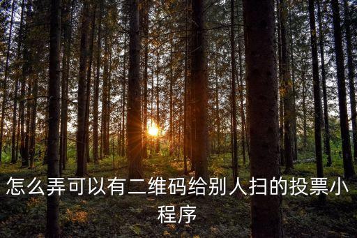 怎么弄可以有二維碼給別人掃的投票小程序