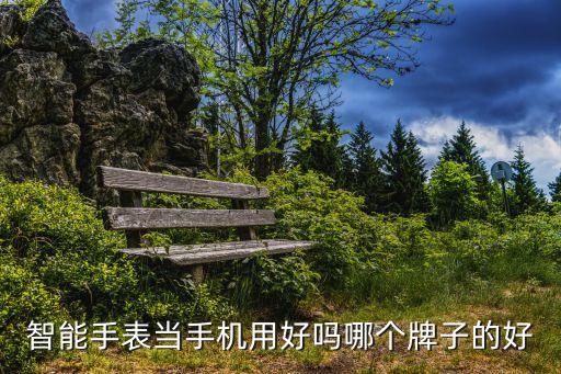 智能手表當手機用好嗎哪個牌子的好