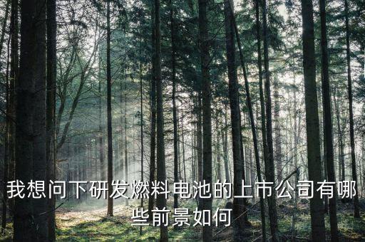 我想問下研發(fā)燃料電池的上市公司有哪些前景如何