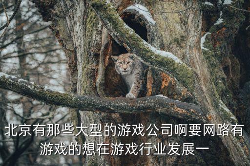 北京大游戲公司，北京有幾家大型的游戲公司 分別叫什么名字